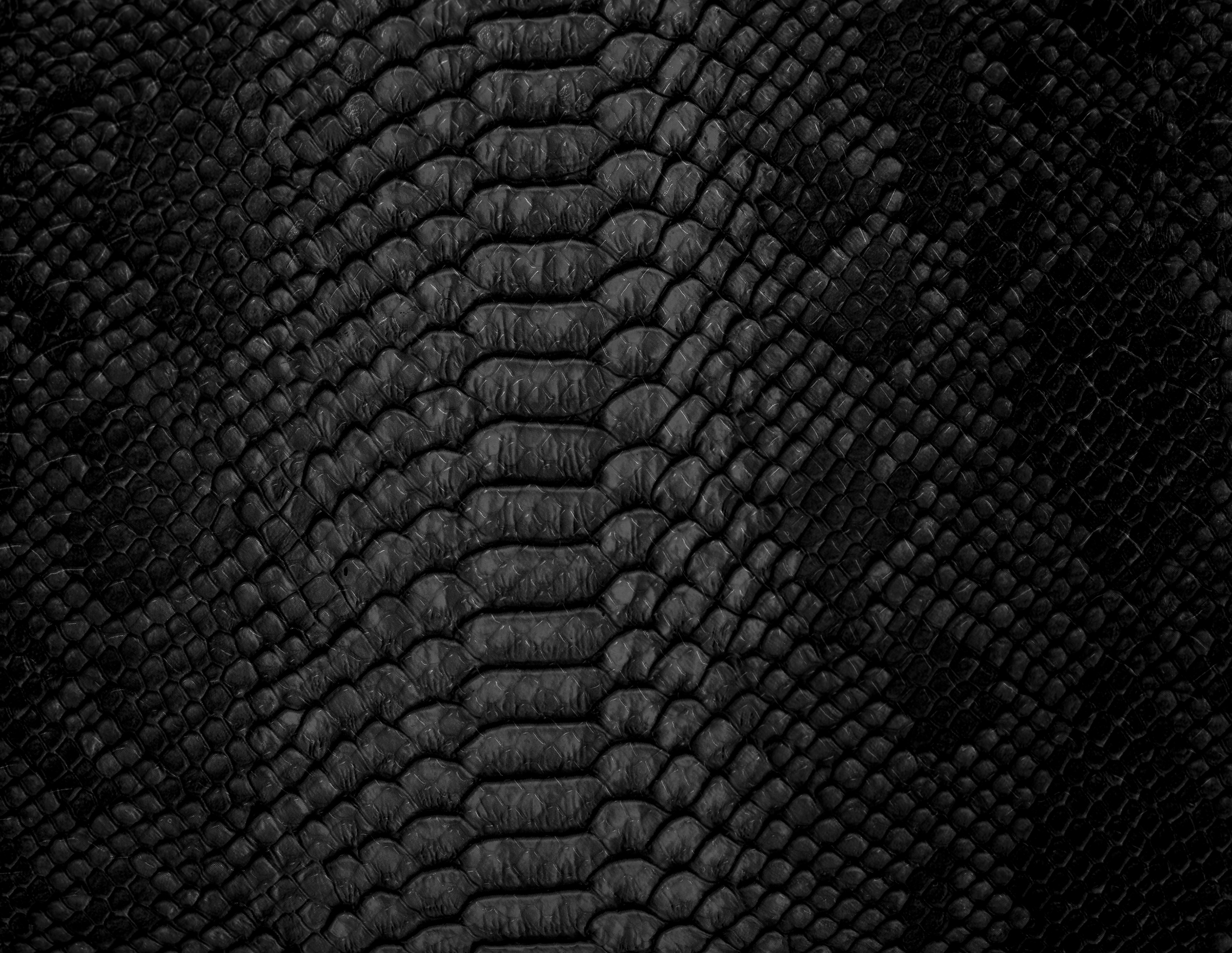 Black Snake Skin Background Closeup